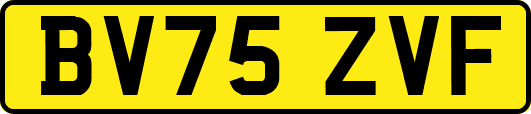 BV75ZVF