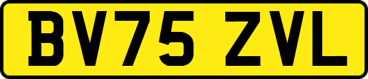 BV75ZVL