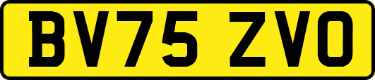 BV75ZVO