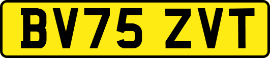 BV75ZVT