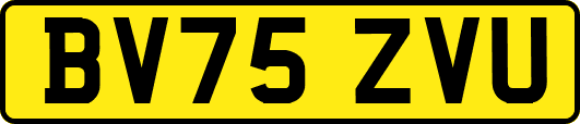 BV75ZVU