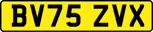BV75ZVX