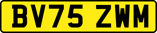 BV75ZWM