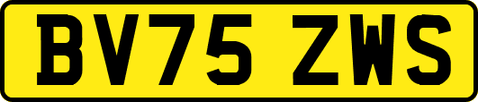BV75ZWS