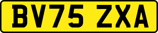 BV75ZXA