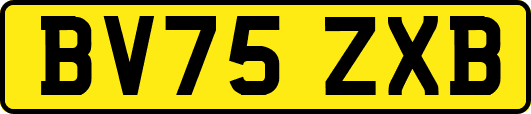 BV75ZXB