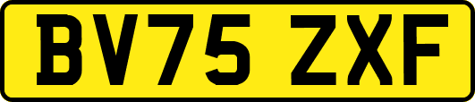 BV75ZXF