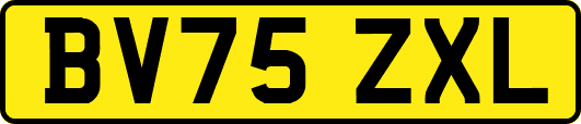 BV75ZXL