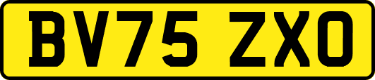 BV75ZXO