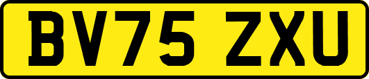 BV75ZXU