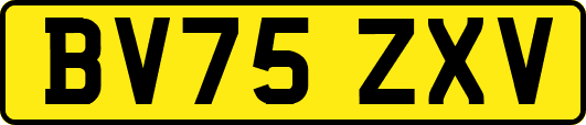 BV75ZXV