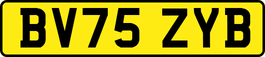 BV75ZYB