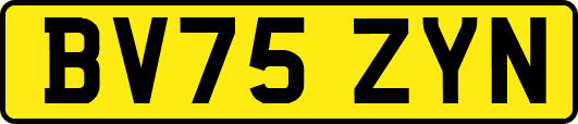 BV75ZYN