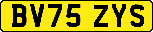 BV75ZYS