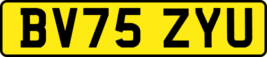 BV75ZYU