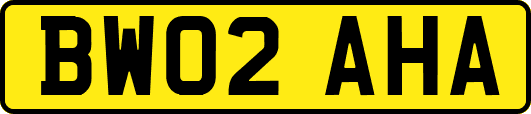 BW02AHA