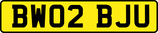 BW02BJU