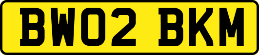 BW02BKM