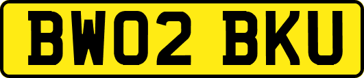 BW02BKU