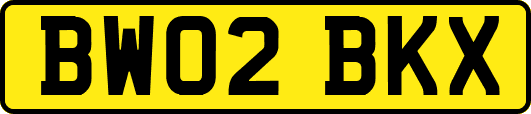 BW02BKX