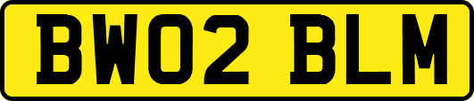 BW02BLM