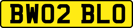 BW02BLO