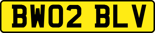 BW02BLV