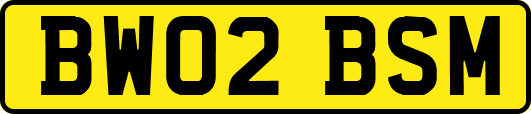 BW02BSM