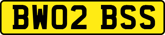 BW02BSS