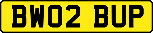 BW02BUP
