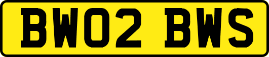 BW02BWS