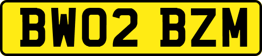 BW02BZM