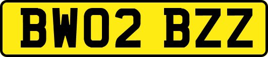 BW02BZZ