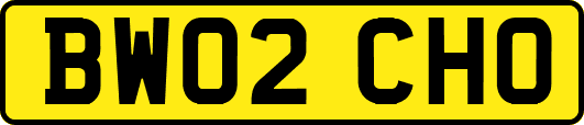 BW02CHO