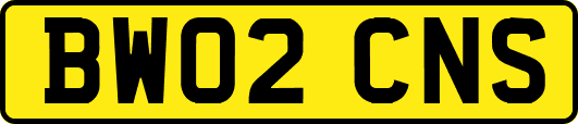 BW02CNS