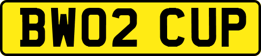 BW02CUP