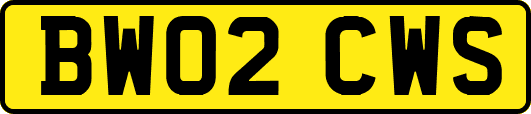 BW02CWS