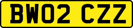 BW02CZZ