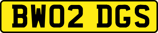 BW02DGS