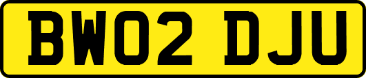 BW02DJU