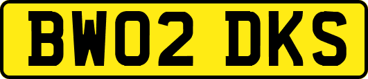 BW02DKS