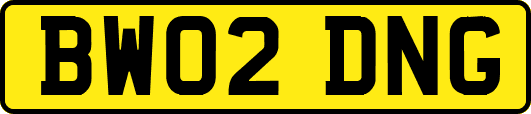 BW02DNG