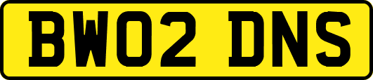 BW02DNS