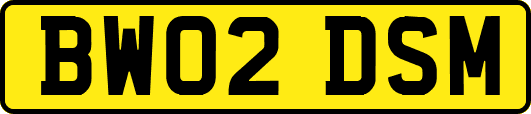 BW02DSM
