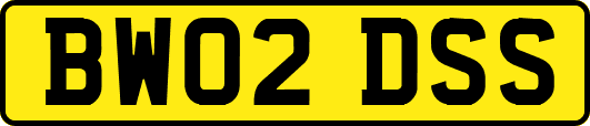 BW02DSS