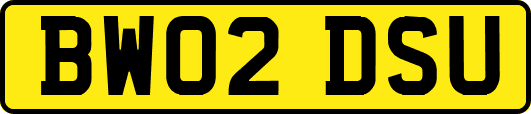 BW02DSU