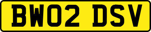 BW02DSV