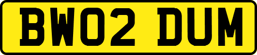 BW02DUM