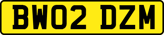 BW02DZM