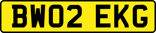 BW02EKG
